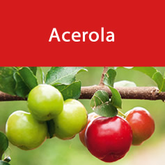 acerola