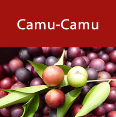 camu-camu