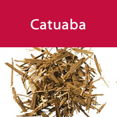 catuaba