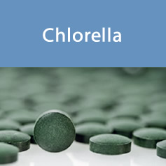 chlorella