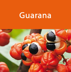 guarana