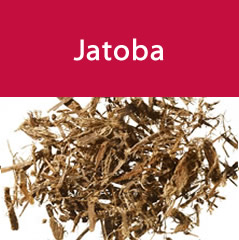 jatoba