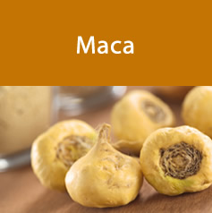 maca