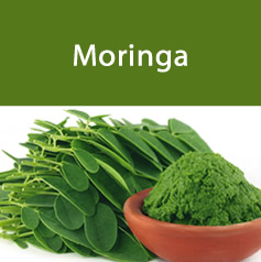 moringa