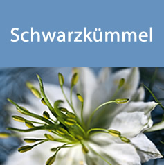 schwarzkuemmel